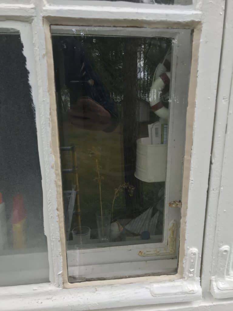 Valkoisen ikkunan läpi näkyy puutarha, jossa on kasveja, lasiesineitä ja heijastuksia. Ikkunan puitteet ovat valkoiset ja hieman kuluneet.