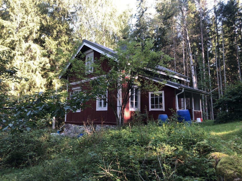 Punainen puutalo metsän keskellä, jossa on valkoiset ikkunat ja harmaa katto. Etualalla on vihreää kasvillisuutta ja puita. Aurinko paistaa ja valaisee osan talosta.